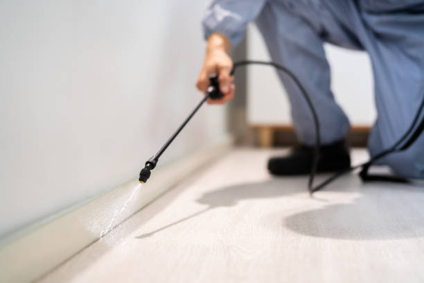 Bed Bug Pre-Treatment Preparation Assessment in Berkeley Lake