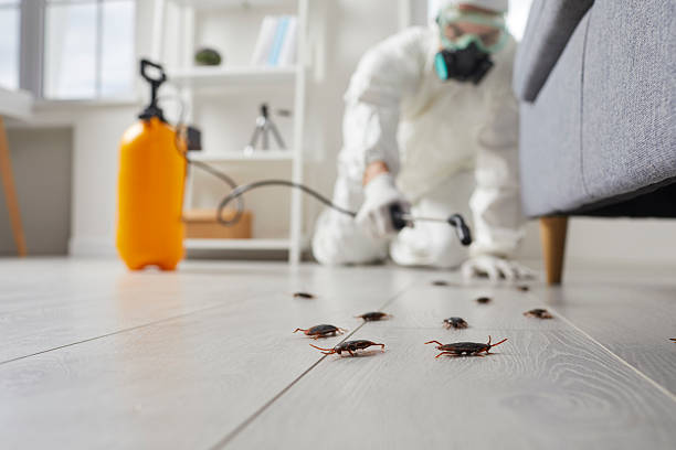 Post-Treatment Bed Bug Interceptor Monitoring in Berkeley Lake